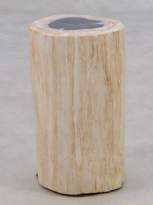 Beistelltisch versteinertes Holz 51001