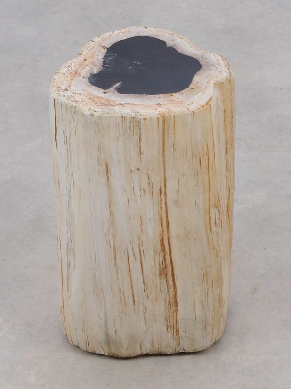Beistelltisch versteinertes Holz 51002