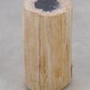 Beistelltisch versteinertes Holz 51003