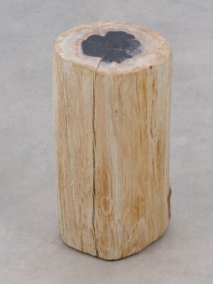 Beistelltisch versteinertes Holz 51003