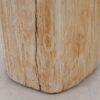 Beistelltisch versteinertes Holz 51003