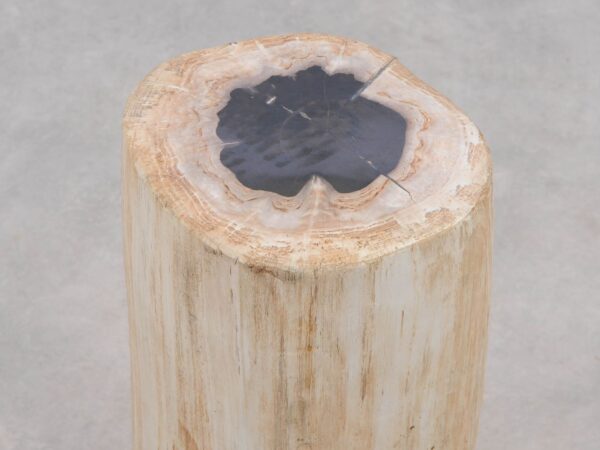 Beistelltisch versteinertes Holz 51003