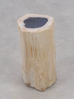 Beistelltisch versteinertes Holz 51004