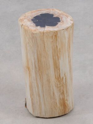 Beistelltisch versteinertes Holz 51005