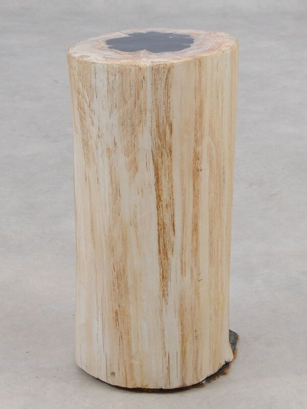 Beistelltisch versteinertes Holz 51005