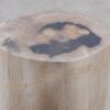 Beistelltisch versteinertes Holz 51006