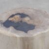 Beistelltisch versteinertes Holz 51007