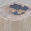 Beistelltisch versteinertes Holz 51007