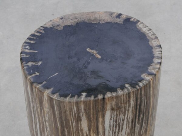 Beistelltisch versteinertes Holz 51008