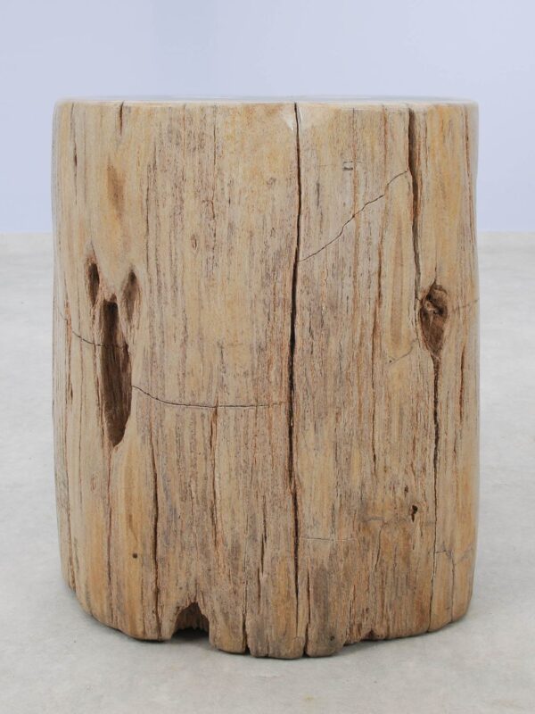 Beistelltisch versteinertes Holz 51016