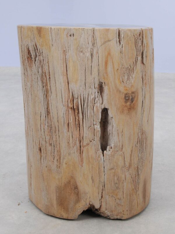 Beistelltisch versteinertes Holz 51017