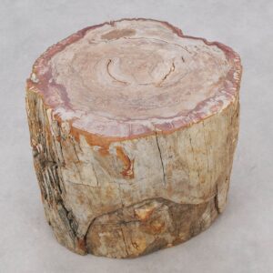 Beistelltisch versteinertes Holz 51023