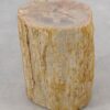 Beistelltisch versteinertes Holz 51024