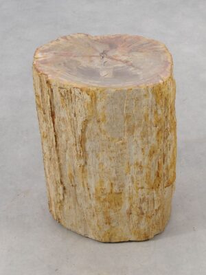 Beistelltisch versteinertes Holz 51024