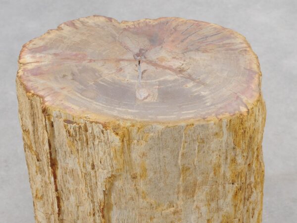 Beistelltisch versteinertes Holz 51024