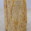 Beistelltisch versteinertes Holz 51024