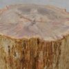 Beistelltisch versteinertes Holz 51024