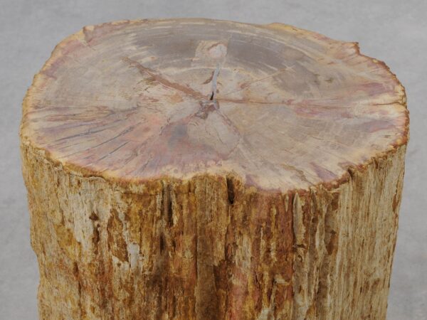 Beistelltisch versteinertes Holz 51024