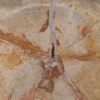 Beistelltisch versteinertes Holz 51024