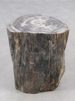 Beistelltisch versteinertes Holz 51026