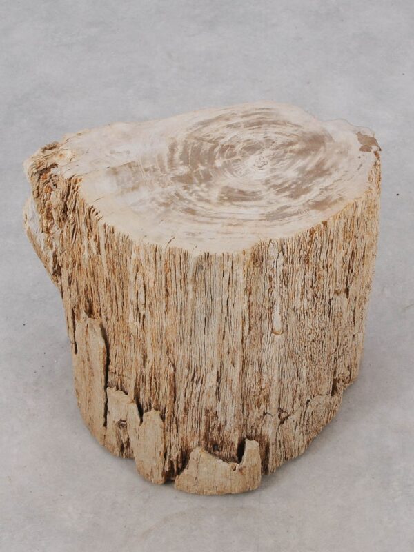 Beistelltisch versteinertes Holz 51028