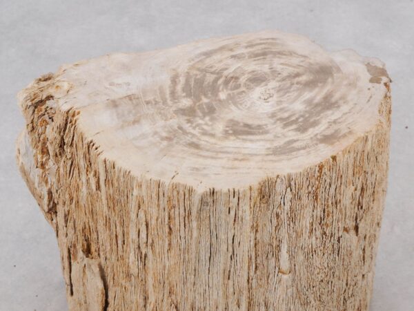 Beistelltisch versteinertes Holz 51028