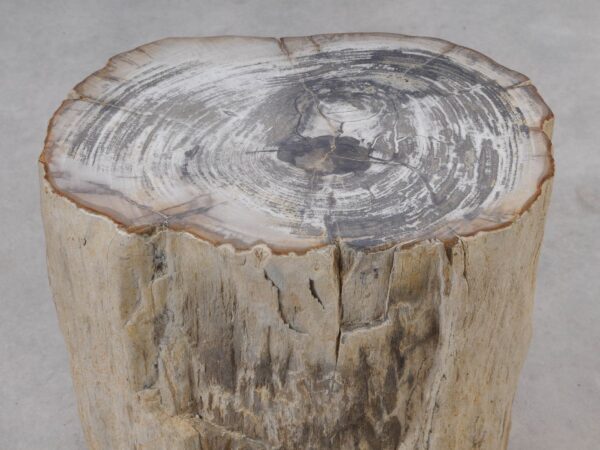 Beistelltisch versteinertes Holz 51030