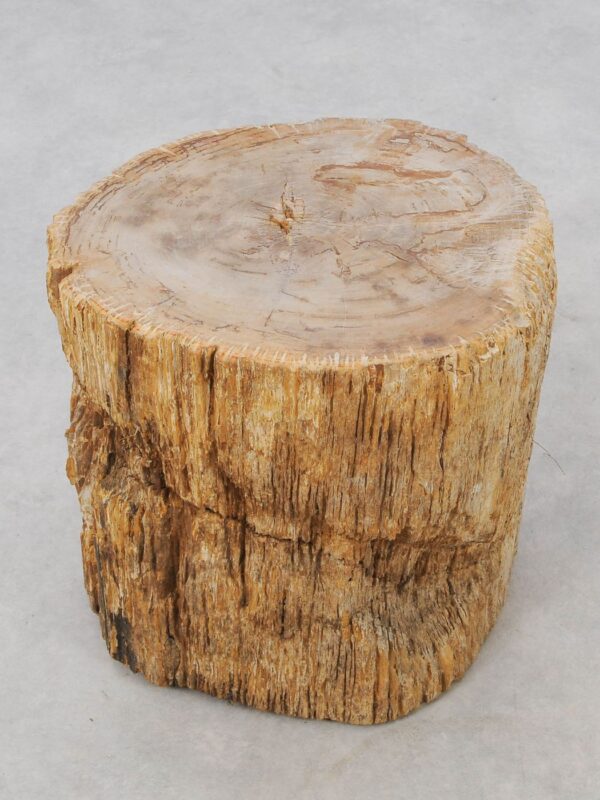 Beistelltisch versteinertes Holz 51031