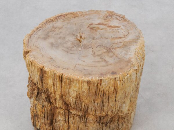 Beistelltisch versteinertes Holz 51031