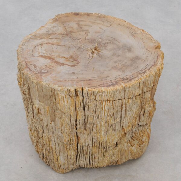 Beistelltisch versteinertes Holz 51031