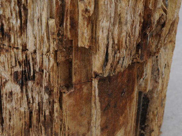 Beistelltisch versteinertes Holz 51032