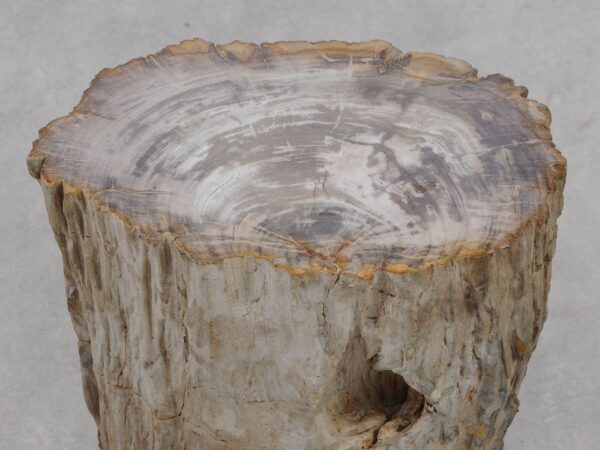 Beistelltisch versteinertes Holz 51033