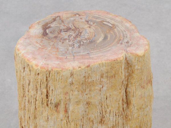 Beistelltisch versteinertes Holz 51036
