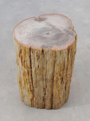 Beistelltisch versteinertes Holz 51045