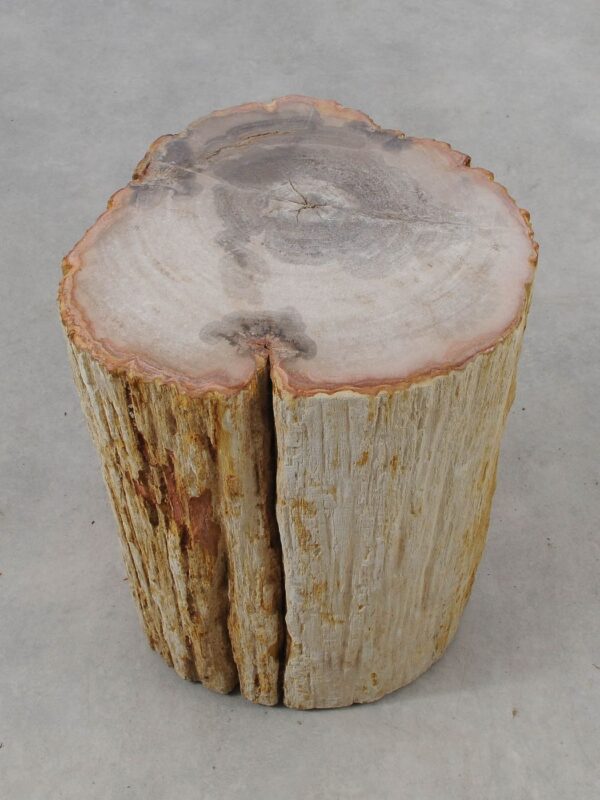 Beistelltisch versteinertes Holz 51045
