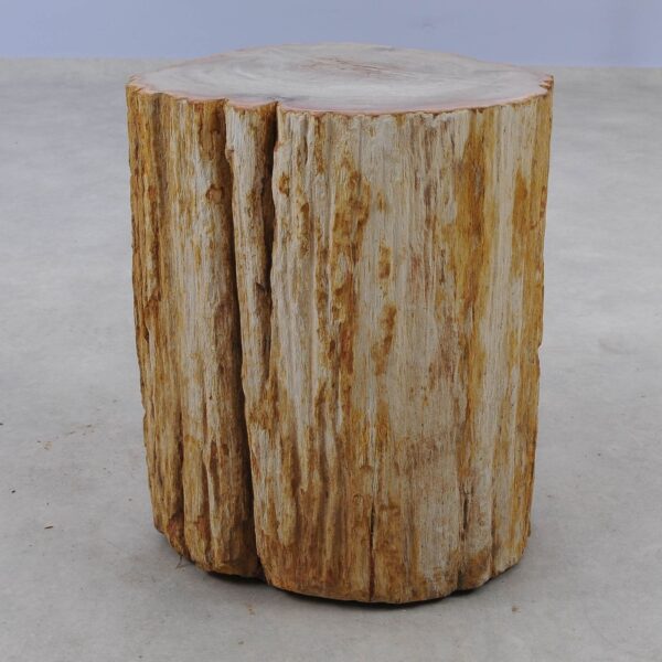 Beistelltisch versteinertes Holz 51048