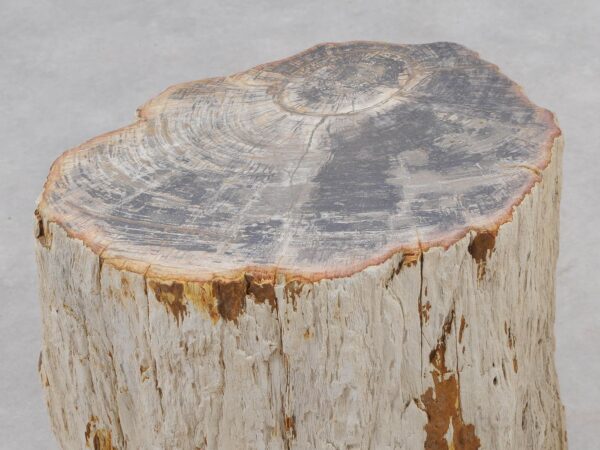 Beistelltisch versteinertes Holz 51049