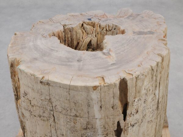 Beistelltisch versteinertes Holz 51050