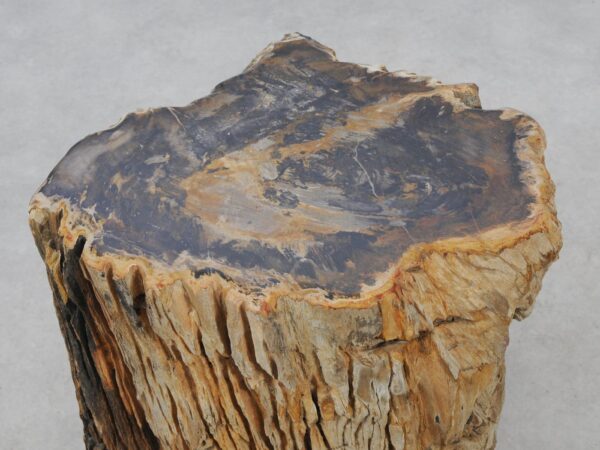 Beistelltisch versteinertes Holz 51053