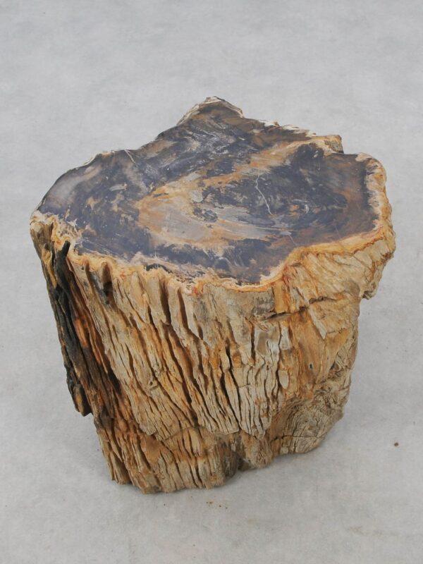 Beistelltisch versteinertes Holz 51053