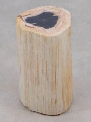 Beistelltisch versteinertes Holz 51122