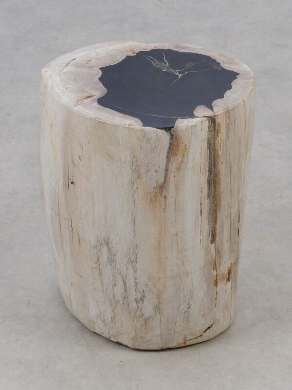 Beistelltisch versteinertes Holz 51314