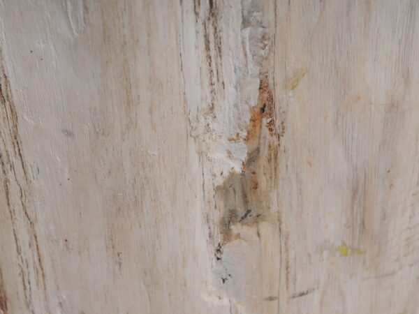 Beistelltisch versteinertes Holz 51315