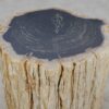 Beistelltisch versteinertes Holz 51323