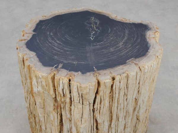 Beistelltisch versteinertes Holz 51323