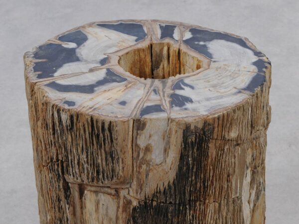 Beistelltisch versteinertes Holz 51325