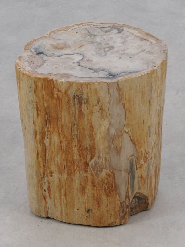 Beistelltisch versteinertes Holz 51326