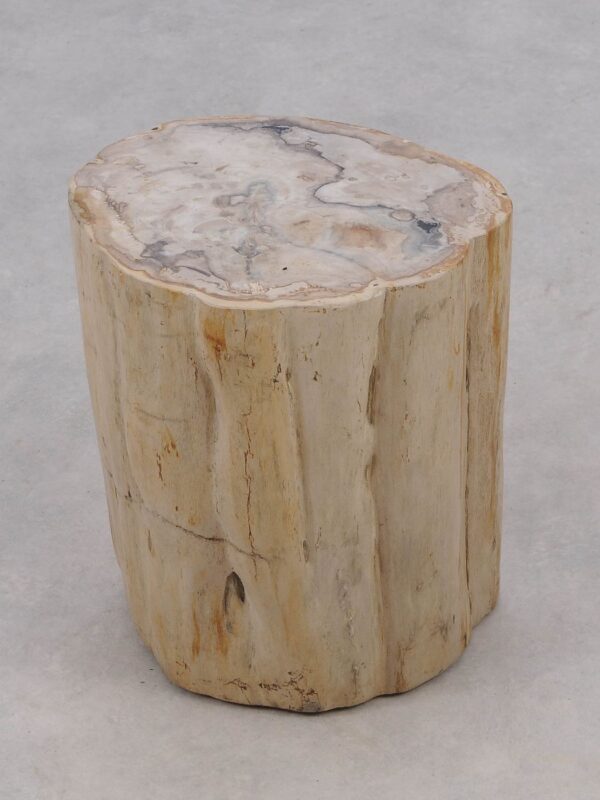Beistelltisch versteinertes Holz 51326