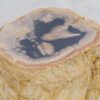 Bijzettafel versteend hout 47008
