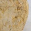 Bijzettafel versteend hout 47008